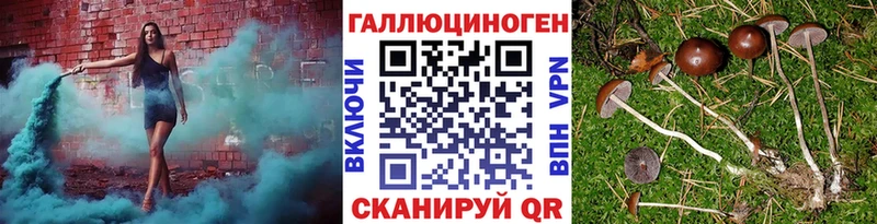 Галлюциногенные грибы MAGIC MUSHROOMS  Бежецк 